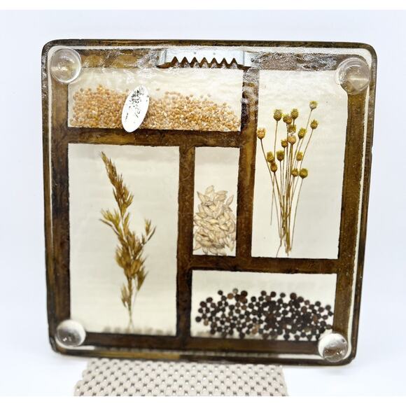 Vintage Lucite Pressed Grains Trivet Feet MCM 1970s Seeds Lentils Kitschy Resin - Picture 2 of 3